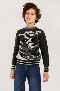 Джемпер для мальчика Finn Flare