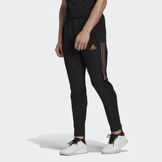 Брюки Condivo 20 Ultimate adidas Performance
