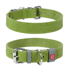 Ошейник для собак повседневный Collar Waudog Classic, обхват шеи 38-49 см, кожа, зеленый