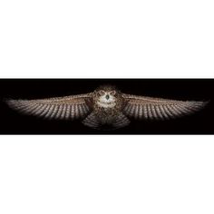 Набор для вышивания Сделай своими руками "Сова"