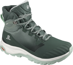 Ботинки Salomon Vaya Blaze Ts Cswp Green Gables/Balsam Gr/Icy Morn (Uk:8)