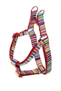 Шлейка для собак Doog