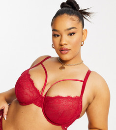 Красный кружевной бюстгальтер с декоративными ремешками Dorina Plus Size Diaz