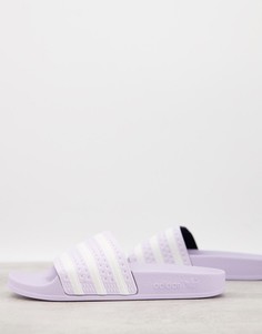 Сиреневые шлепанцы adidas Originals Adilette-Фиолетовый