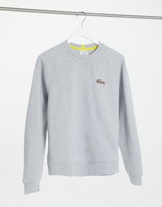 Серебристый свитшот с фирменным логотипом Lacoste x National Geographic-Серый