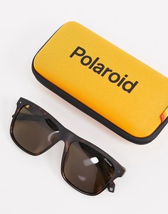 Квадратные солнцезащитные очки Polariod-Коричневый Polaroid
