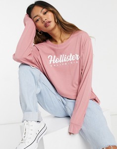 Розовый лонгслив с логотипом спереди Hollister-Темно-синий