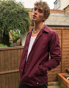 Темно-бордовая куртка Dickies-Фиолетовый