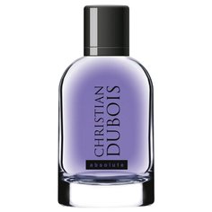 Туалетная вода Dilis Parfum Christian Dubois Absolute, 100 мл