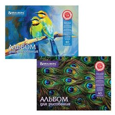 Альбом для рисования BRAUBERG Райские птички 29.7 х 21 см (A4), 110 г/м², 40 л.