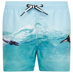 Шорты для плавания Molo размер 98-104, голубой