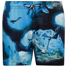 Шорты для плавания Molo размер 158, синий