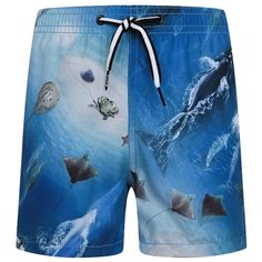 Шорты для плавания Molo размер 134, синий/голубой