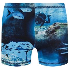 Плавки Molo размер 134, синий