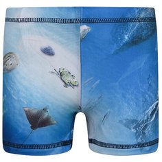 Плавки Molo размер 134, синий/голубой