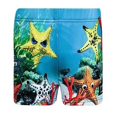 Плавки Molo размер 62-68, синий/желтый/оранжевый