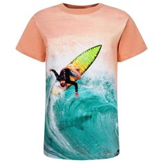 Футболка Molo размер 104, розовый/голубой