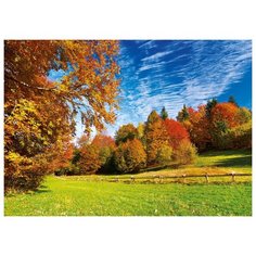 Пазл Trefl Горы Пьенины (27073), 2000 дет.