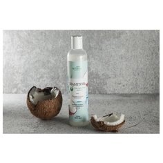 ВкусВилл шампунь с экстрактом кокоса для всех типов волос 350 мл
