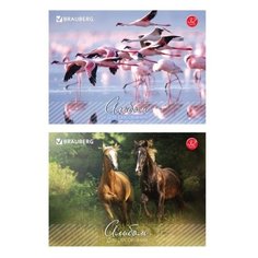 Альбом для рисования BRAUBERG Живая природа 29.7 х 21 см (A4), 100 г/м², 32 л.