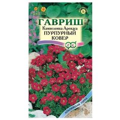 Семена Гавриш Альпийская горка Камнеломка Арендса Пурпурный ковер 0,01 г, 10 уп.