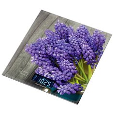 Кухонные весы Hottek HT-962-032 синий/коричневый/зеленый