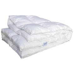 Одеяло German Grass White Familie Down, теплое, 155 х 200 см (белый)