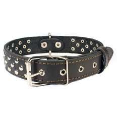 Ошейник Дарэлл Стандарт клёпаный (010335), 68 см 54-66 см черный