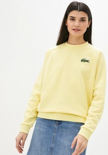 Свитшот Lacoste