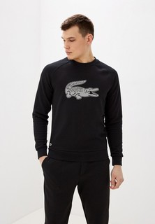 Свитшот Lacoste