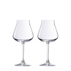 Набор из 2-х фужеров для белого вина Chateau Baccarat Baccarat