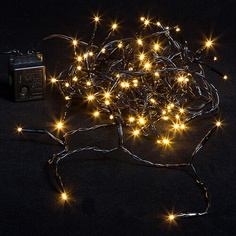 Светодиодная гирлянда Kaemingk Lumineo 494166 Белый