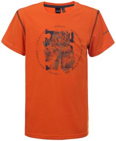 Футболка Для Активного Отдыха Icepeak 2020 Keene Jr Burned Orange (Рост:140)