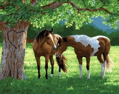 Картина по номерам, RDG-4253, холст на подрамнике 40х50см Raduga