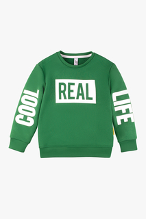 Свитшот с принтом Bossa Nova К 5481/ро р.110