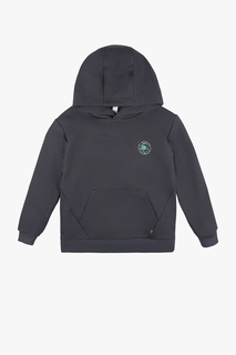 Толстовка с капюшоном Bossa Nova 531143-73 р.128