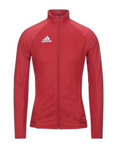 Толстовка Adidas