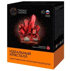 Набор для исследований Трюки науки Идеальный кристалл бордовый