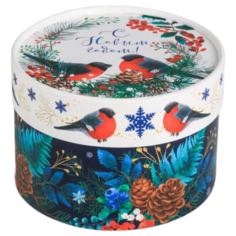 Коробка подарочная Дарите счастье Зима 12 х 8 см белый/синий