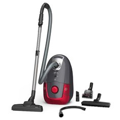 Пылесос Tefal TW3186EA серый