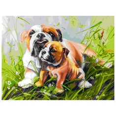 Белоснежка Картина по номерам "Гордая мамаша" 30х40 см (346-AS)