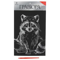 Гравюра Школа талантов Енот (4063542) серебристая основа