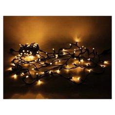 Гирлянда Rich LED RL-S10C-220V-CB/WW, 100 ламп, теплый белый/черный провод