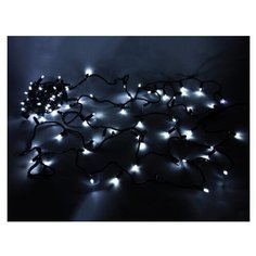 Гирлянда Rich LED RL-S10C-220V-CB/W, 100 ламп, холодный белый/черный провод