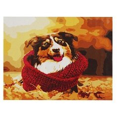 Рыжий кот картина по номерам Зенненхунд в осенних листьях, 30х40 см (Х-7626)