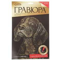 Гравюра Школа талантов Бигль (2147979) золотистая основа