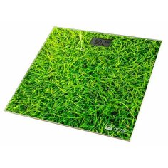 Весы электронные Home Element HE-SC906 Grass