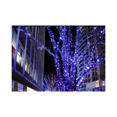 Гирлянда электрическая BEAUTY LED CLT-LED-100-1000-B Laitcom