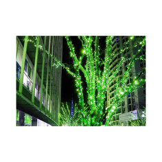 Гирлянда электрическая BEAUTY LED CLBLW-LED-60-600-G Laitcom