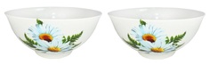 Набор салатников "Ромашка" 1,0л 2шт. Солнечногорская керамика